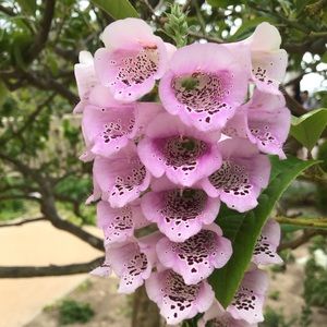 Meet your Posher, Jee